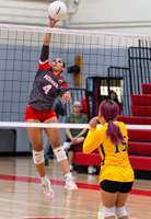 Bisbee volleyball sweeps Santa Rita, snaps nine-match losing streak