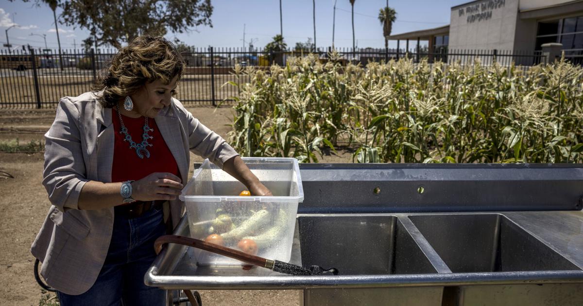 Arizona Democrat's Tough Past Fuels Pitch for a Key House Seat