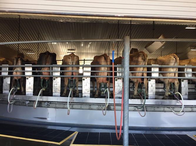 A growing concern Local News Stories