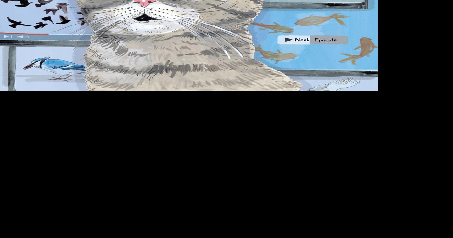 TV, It’s Not Just for Humans Anymore