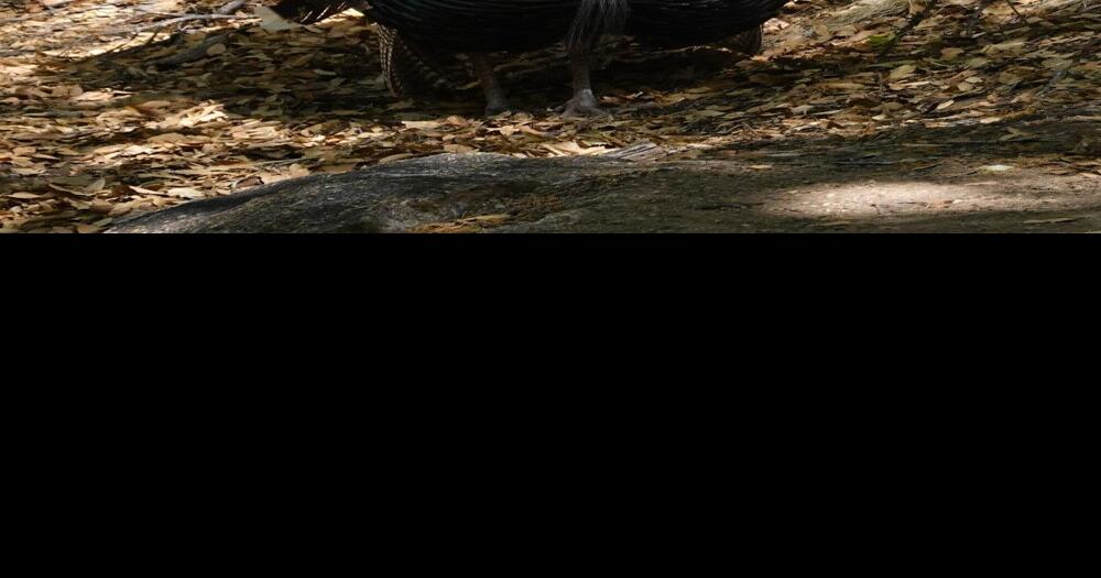 What&rsquo;s Happenin&rsquo; | | myheraldreview.com