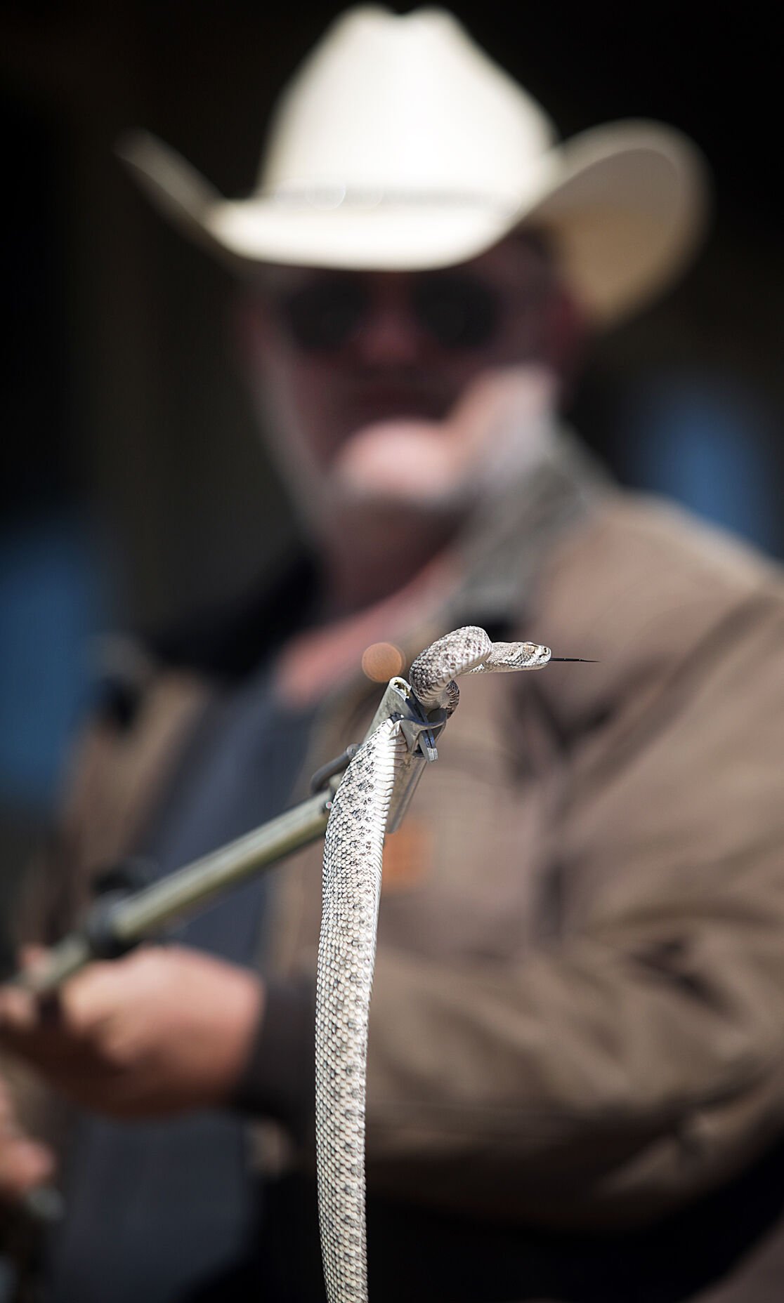 'Snake Guy' aims to keep people, reptiles safe Cochise County