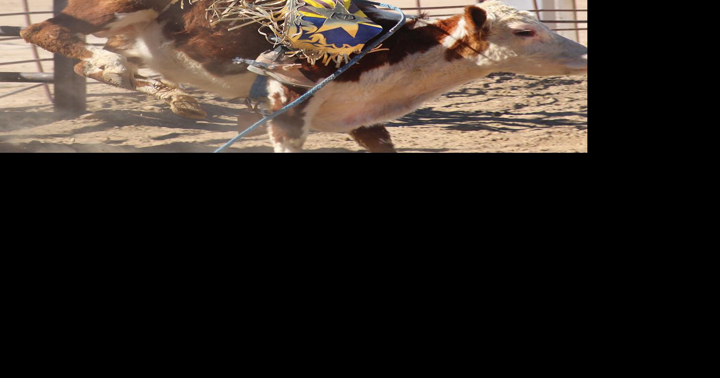 Willcox 2023 headline roundup Willcox Range News