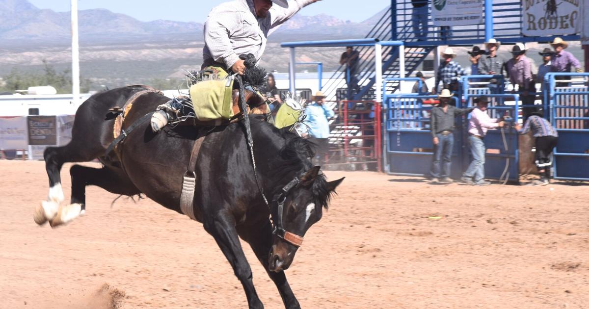 David Butterfield Rodeo Butterfield Rodeo promises two days of action-packed thrills | Benson ...