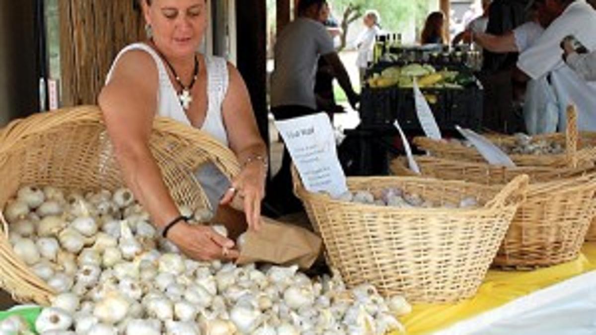 Fun Food And Garlic At Annual Dragoon Festival Benson News Sun Myheraldreview Com Dragoon Garlic Festival 2022