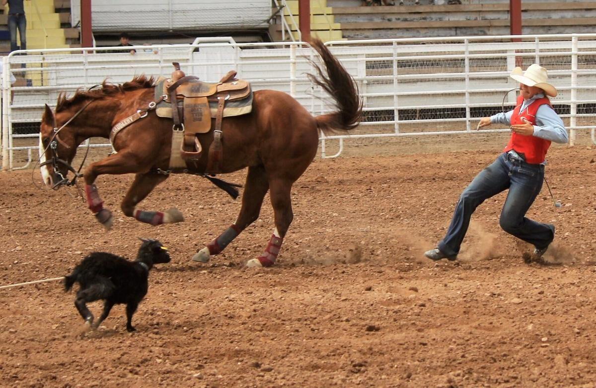 Cochise College rodeo begins its season this weekend at county fair