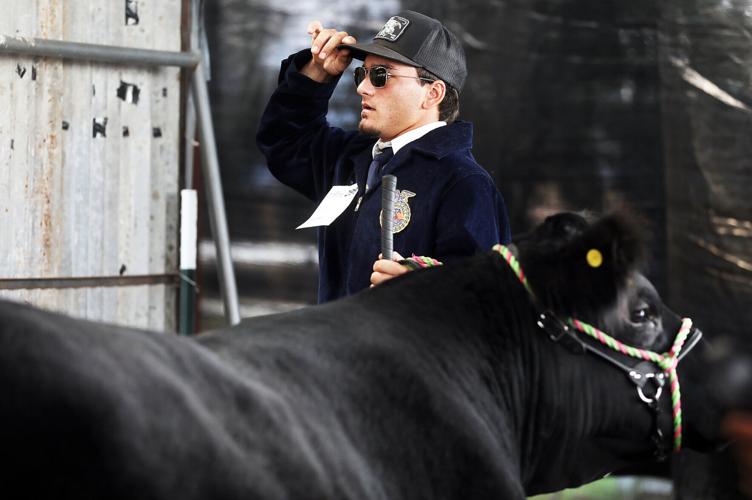 99th Cochise County Fair begins Thursday in Douglas Douglas Dispatch