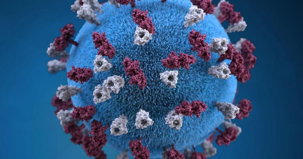 Measles infections continue to spread along Utah-Arizona border