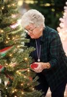 Festival of Trees takes root at SV mall