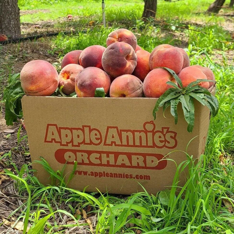 It's a Peach Mania party this weekend at Apple Annie's
