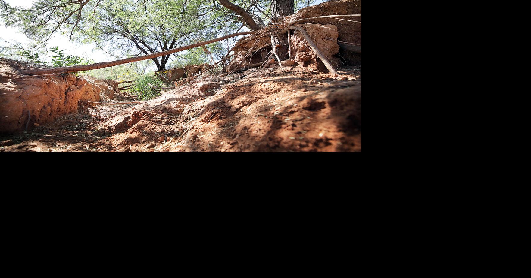 Action needed to preserve Willcox Basin Willcox Range News