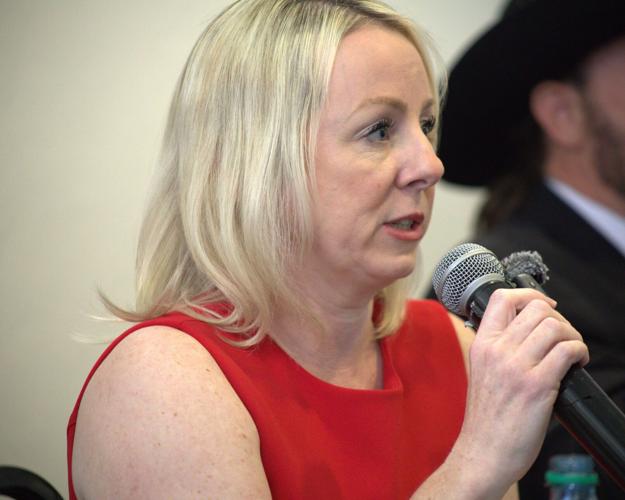 Sierra Vista mayor candidates differ on growth at SACA debate | Sierra ...