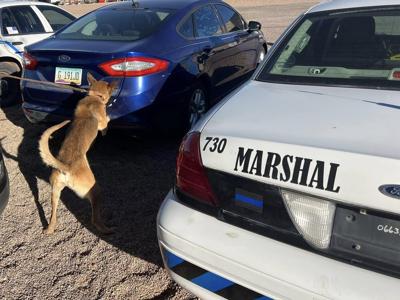 Another ex-Tombstone deputy is suing over city’s K9 program