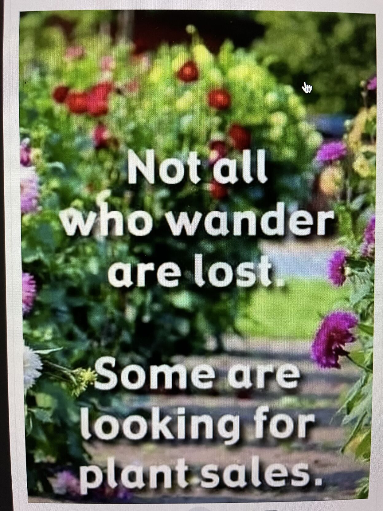 take-advantage-of-the-master-gardener-plant-sale-local-news-stories