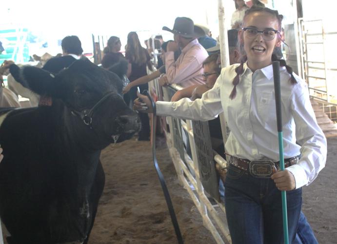 Cochise County Fair attracts a crowd Douglas Dispatch