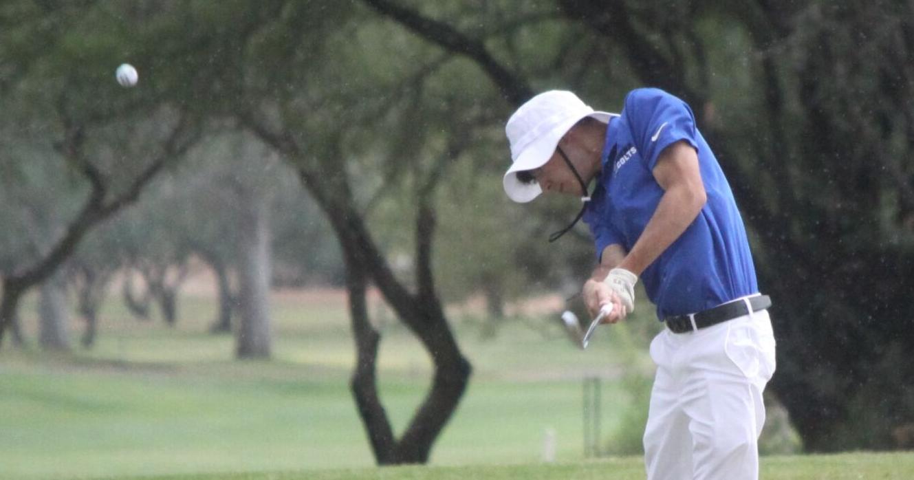 Buena golfers lose by one stroke to Sabino on Senior Day
