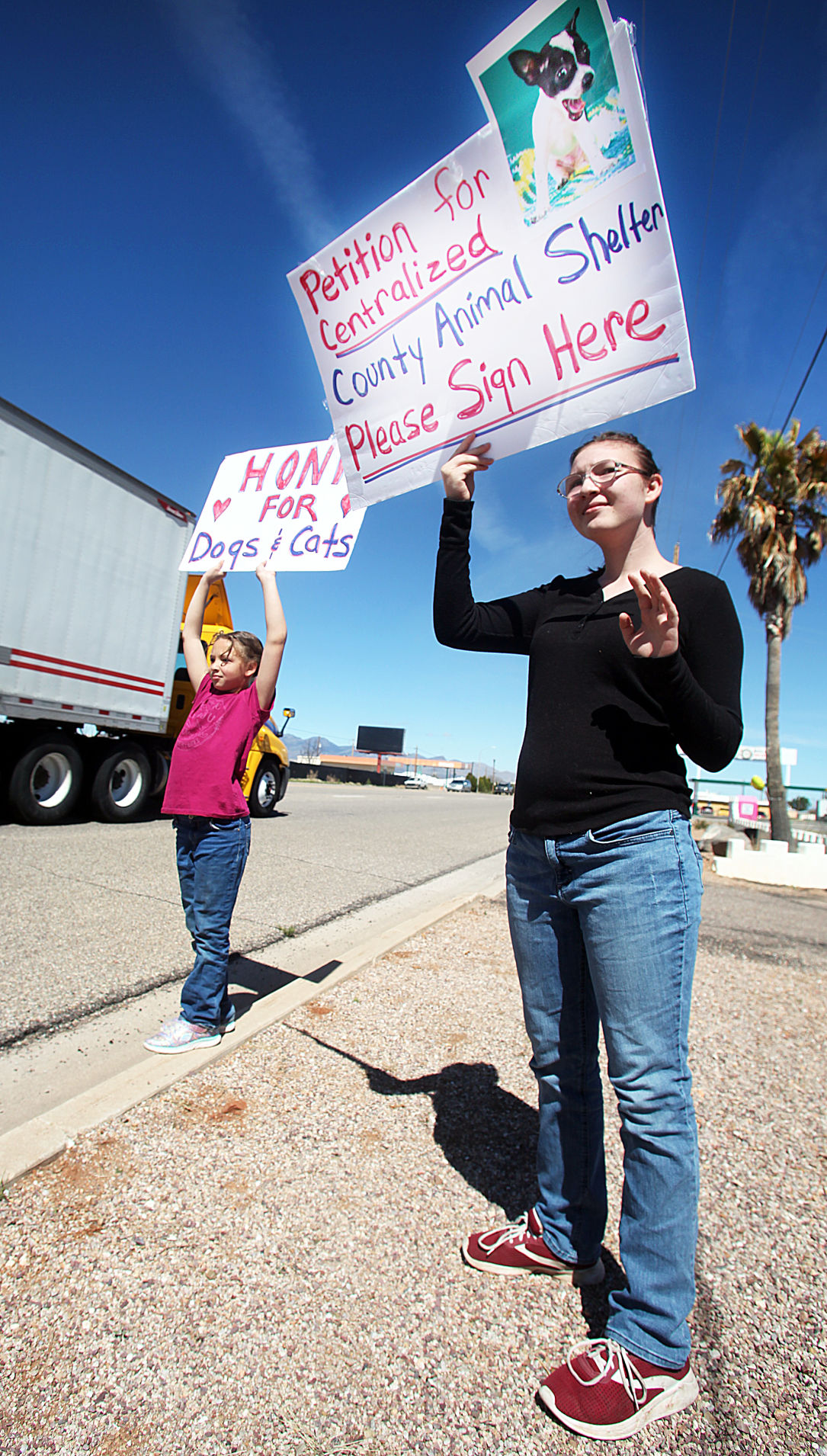 All About The Animals Petition For County Animal Shelter Gets Over 1 000 Signatures Cochise County Myheraldreview Com