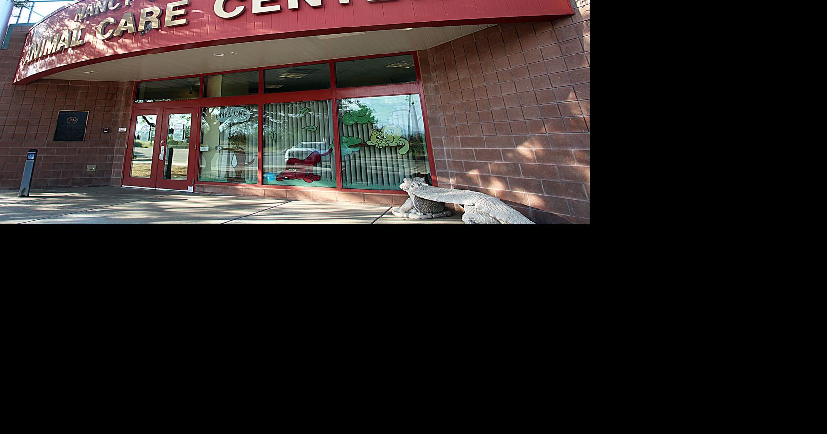 Kennel cough outbreak raises concerns Local News Stories