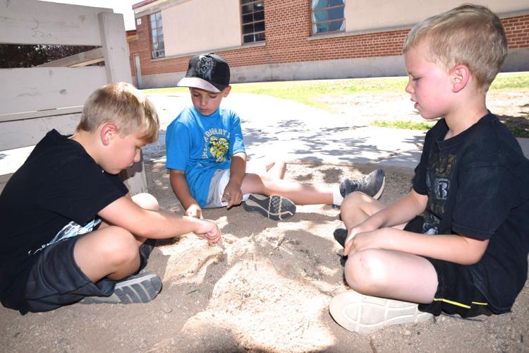 Summer camp makes learning fun Benson NewsSun