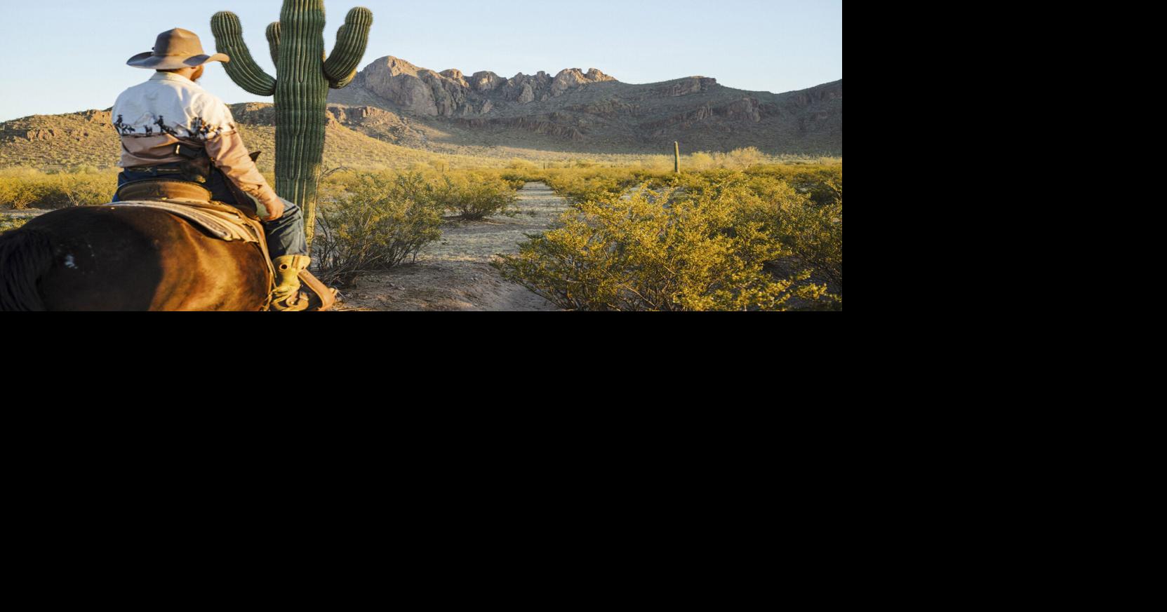 THE FRUGAL TRAVELER: Tucson: A City for Outdoor Lovers