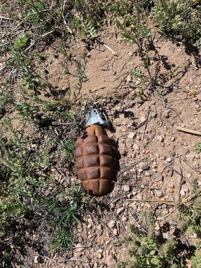 200401-localnews-grenade 1.jpg
