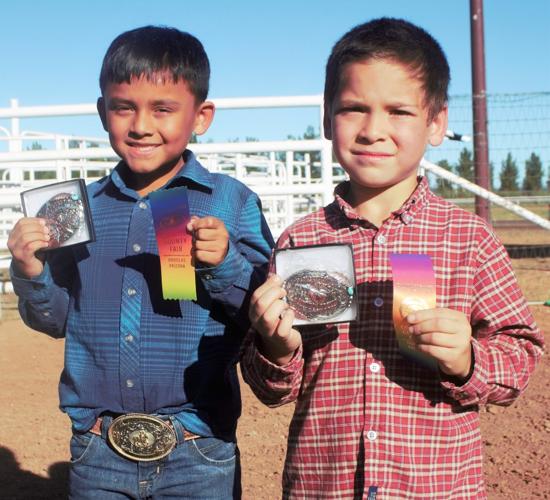 Thousands attend Cochise County Fair Douglas Dispatch