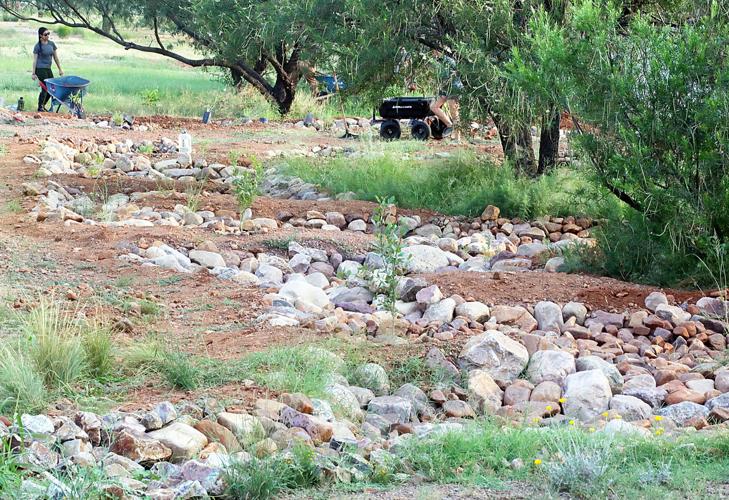 Huachuca City Community Garden earns widespread support Community