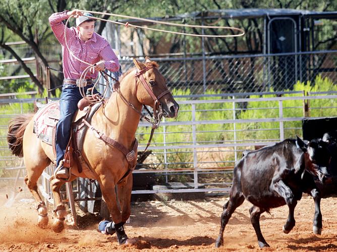 For the love of rodeo | Benson News-Sun | myheraldreview.com