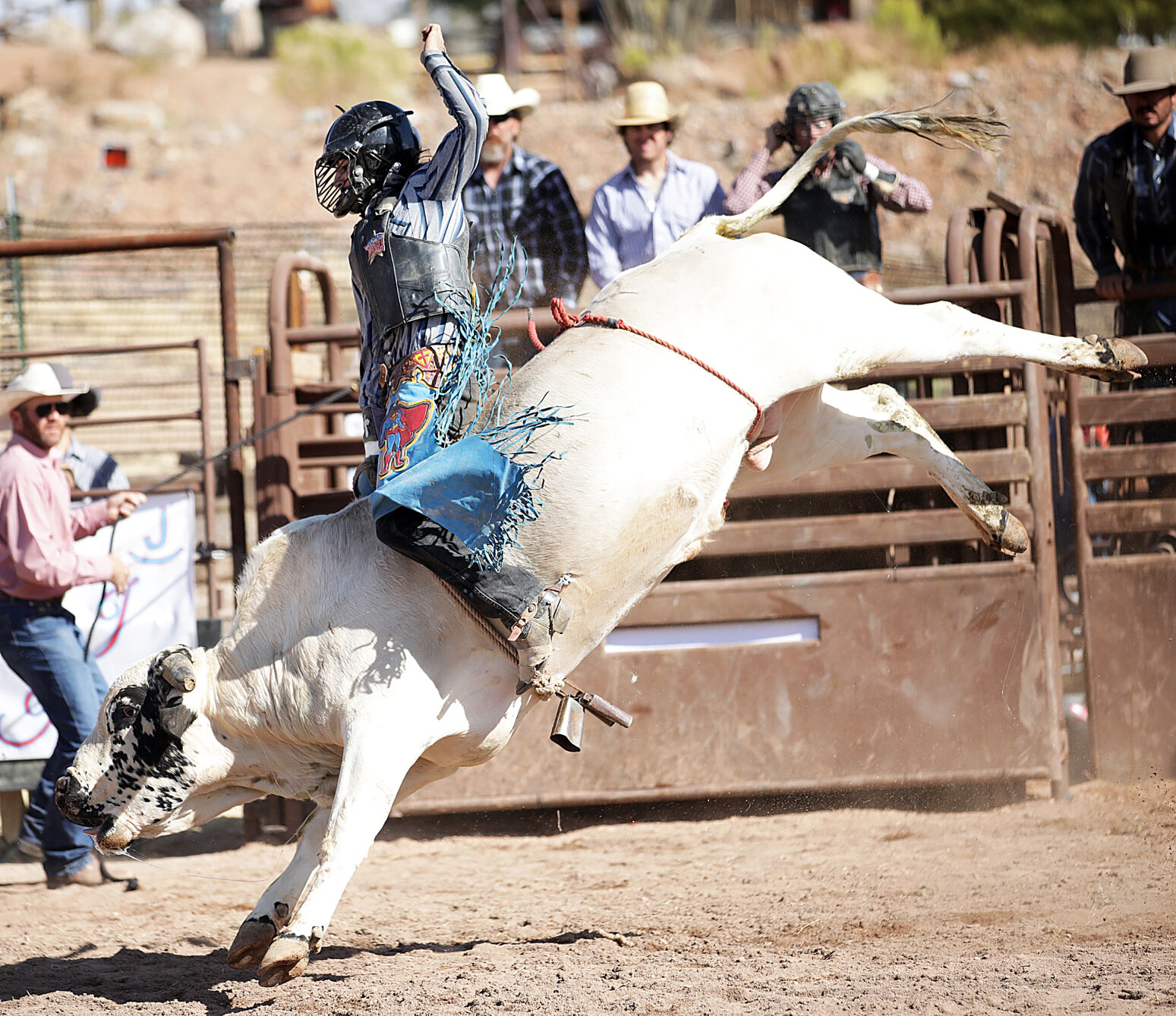 Join Shoot Out s bull riding thrills myheraldreview