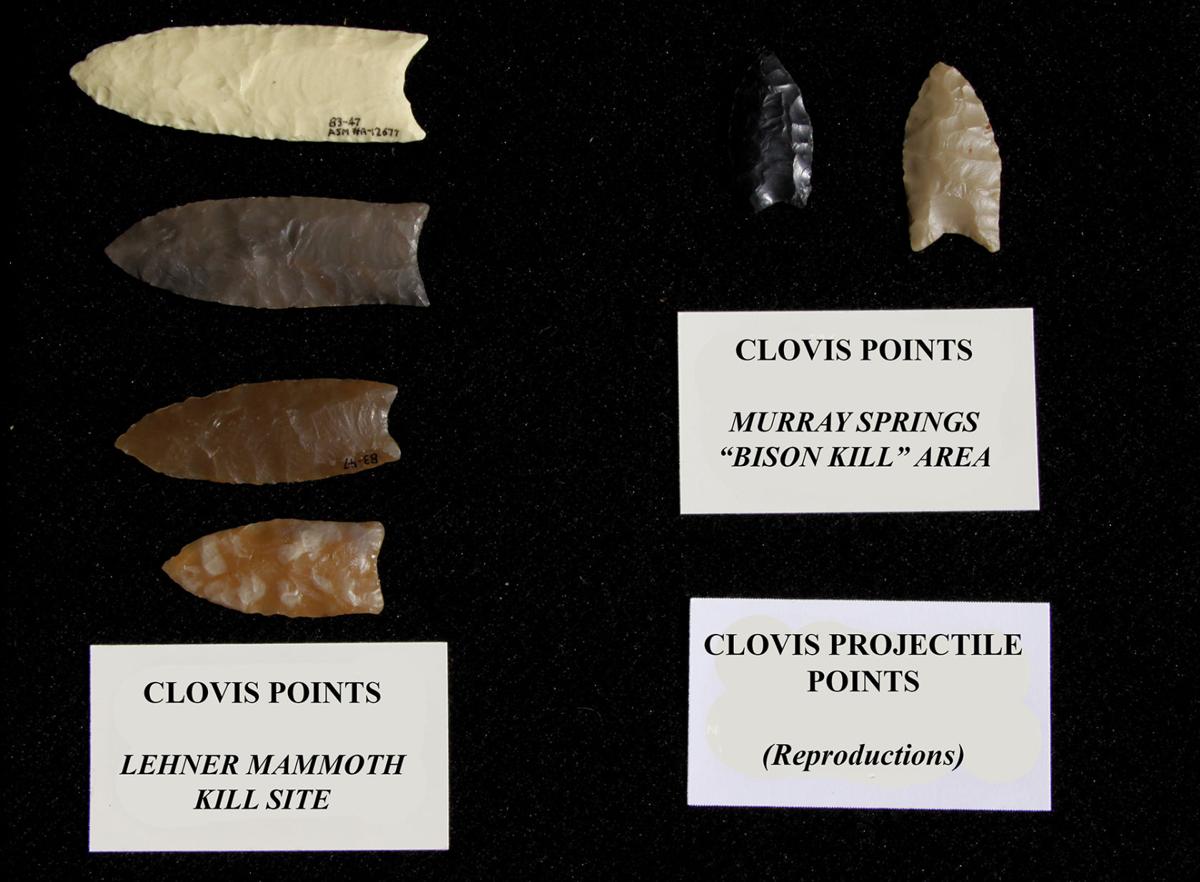 The Murray Springs Clovis Site Opinion