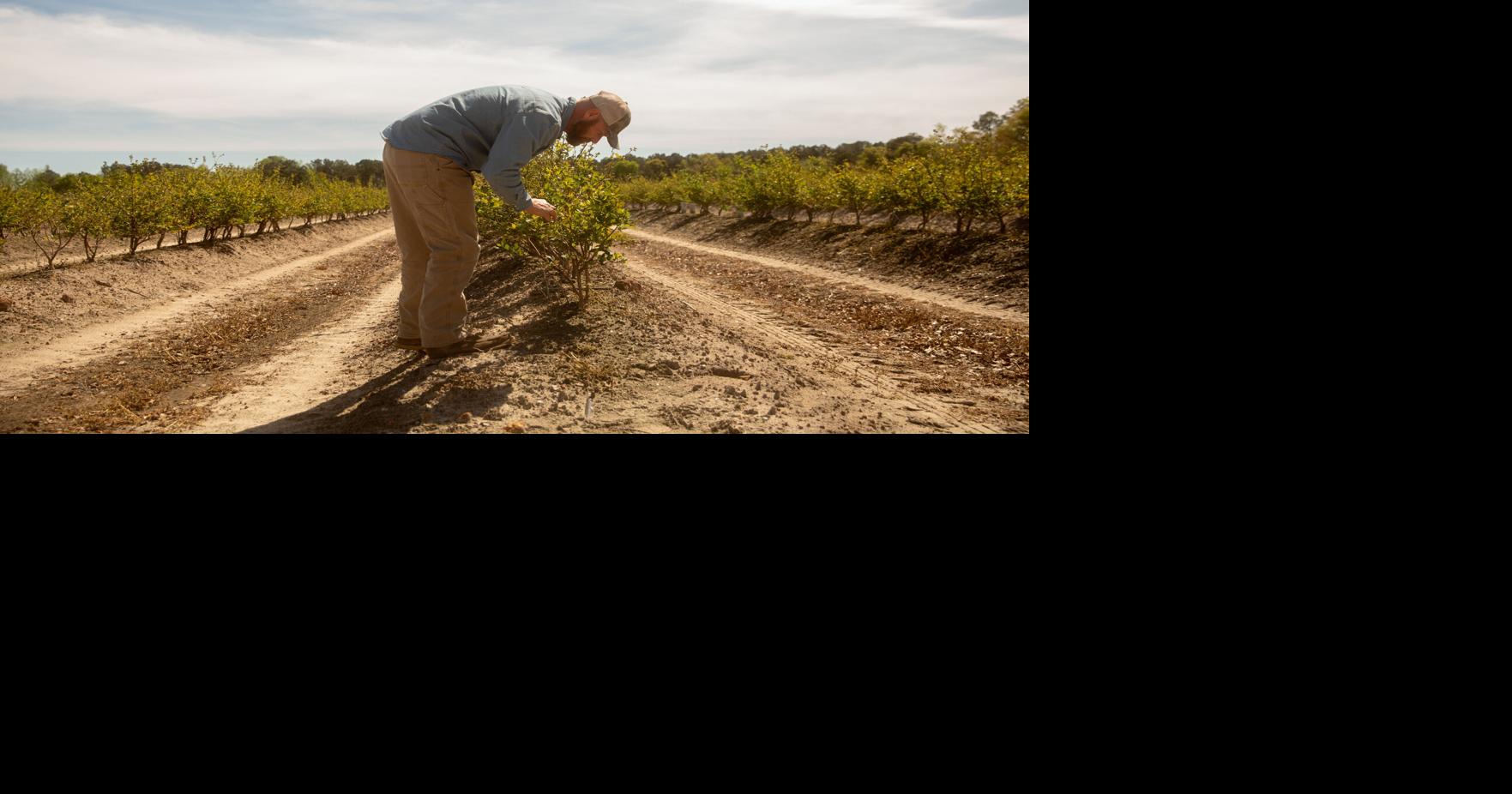 COVID Relief Loans Are Haunting Small Businesses