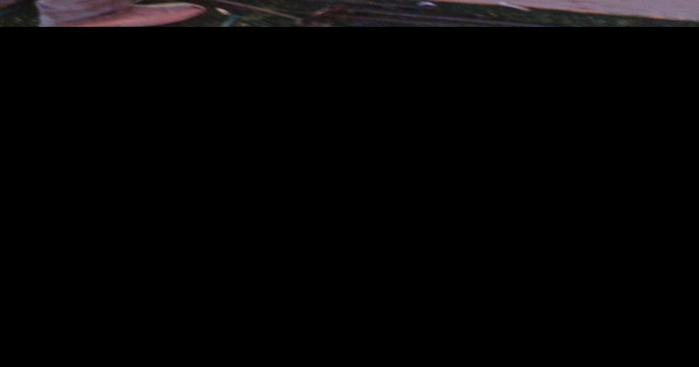 Fireworks shine bright on July 4 Willcox Range News