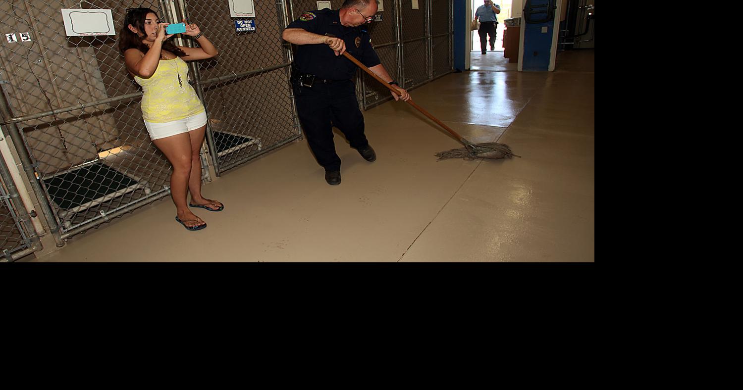 Improvements abound at Huachuca City animal shelter Sierra Vista