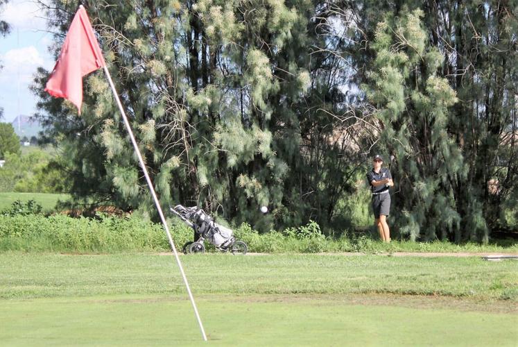 DHS golfer setting the standard for his teammates