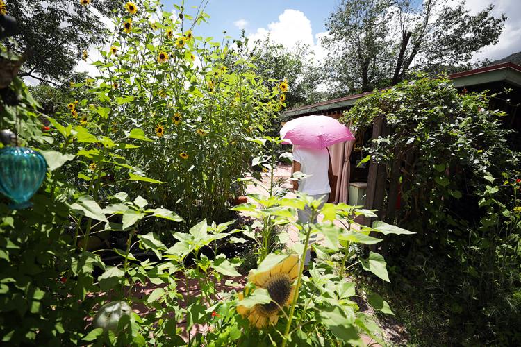 20th annual garden tour coming up in Bisbee Bisbee