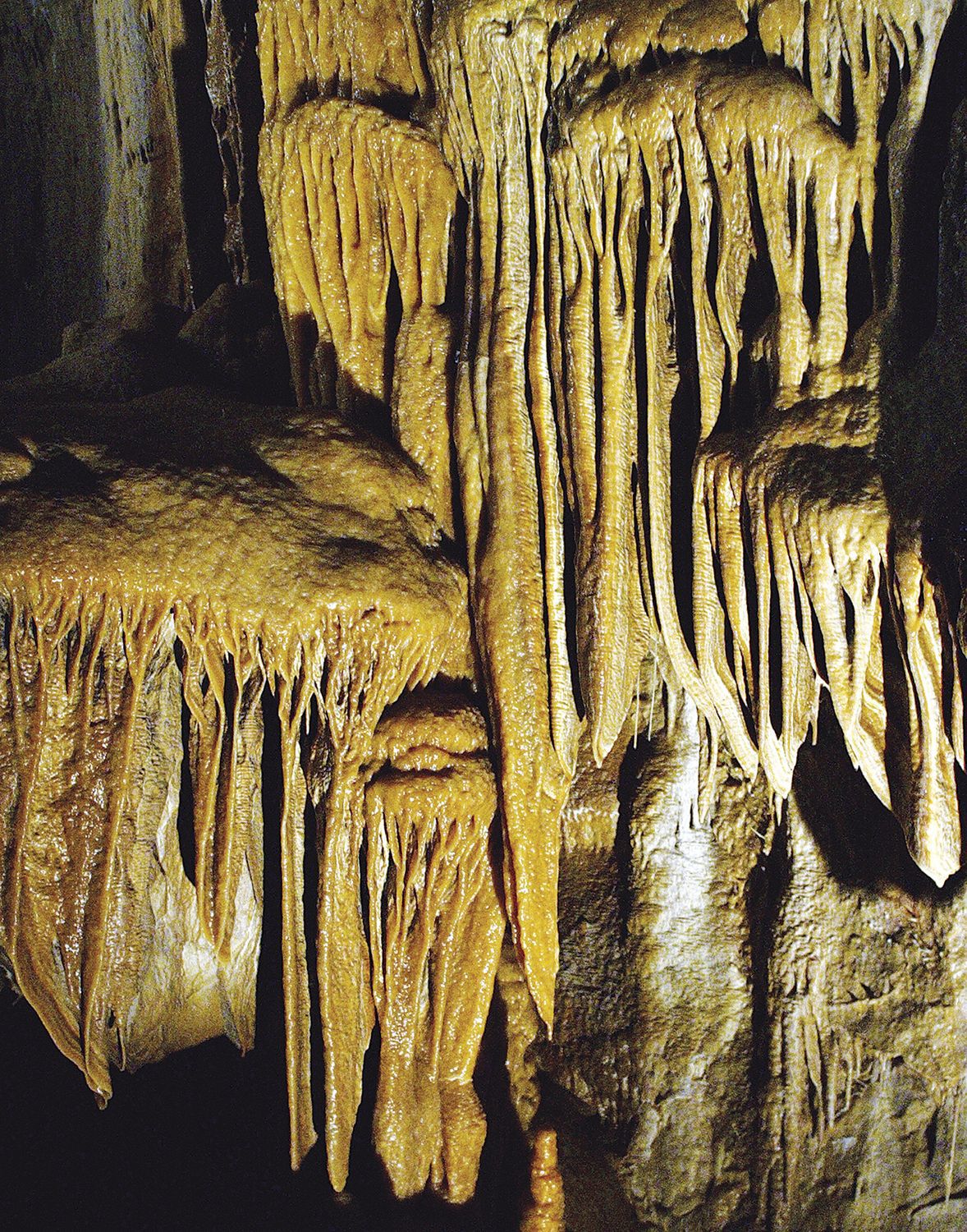 Showcasing A Local Treasure Kartchner Caverns Celebrates 20