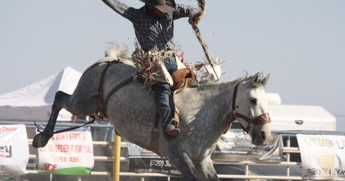 Rex Allen Days Rodeo boasts large turnout | Willcox Range News ...