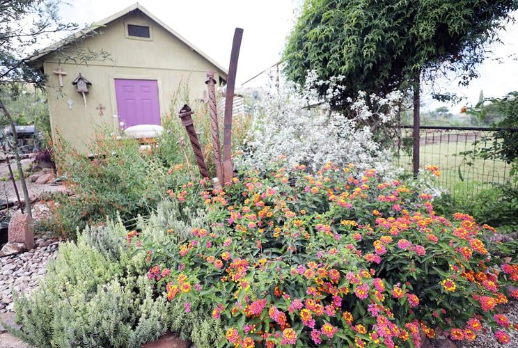 20th annual garden tour coming up in Bisbee Bisbee