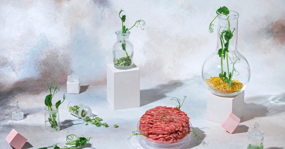 Arizona gets closer to banning lab-made meat | State | myheraldreview.com