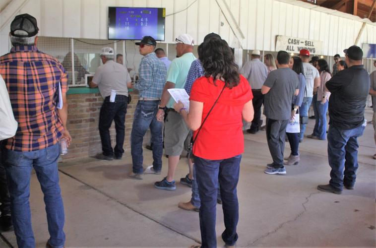 Estimated 5,000 attend Douglas horse races Douglas Dispatch
