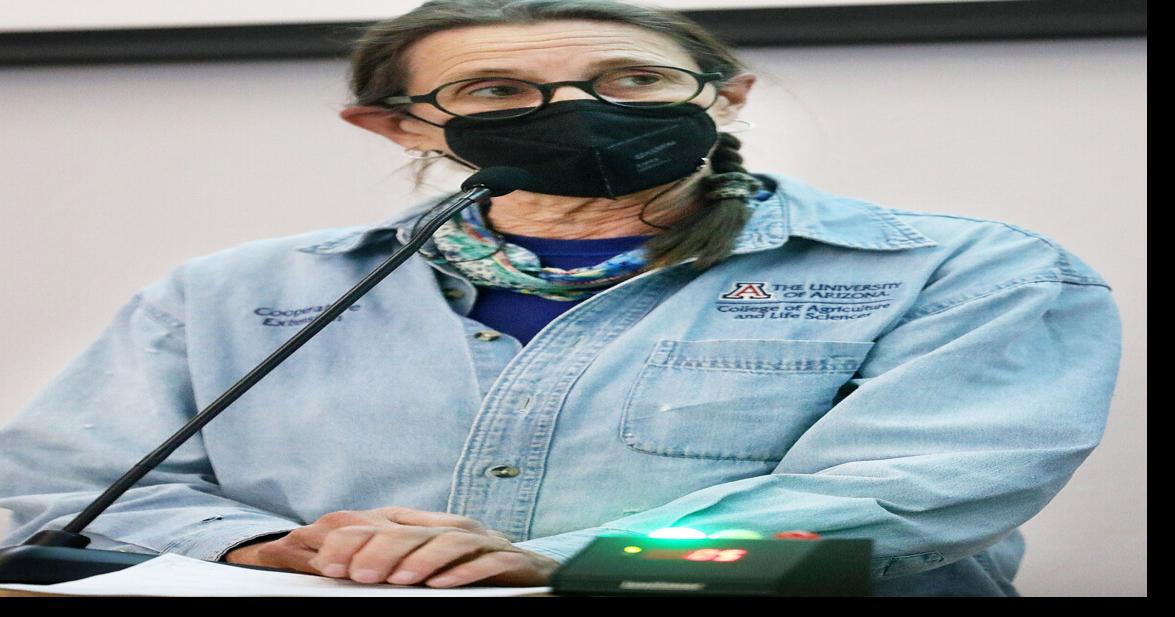 Cochise County recorder now in charge of elections Cochise County