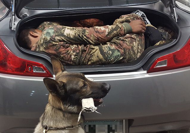 Agents working at the immigration checkpoint north of Whetstone referred a 2008 Infiniti coupe for a secondary inspection after a canine alerted to an odor it was trained to detect. When agents opened the car’s trunk, they found two adult males hiding inside.