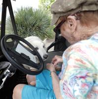 Biscuits, golf carts, and dogs: how one woman brightens up Winterhaven with her dog treats
