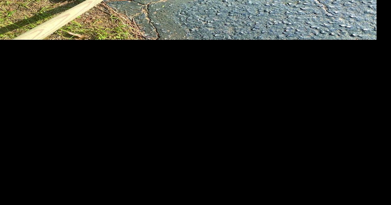More rattlers spotted all over Monroe County | News | mymcr.net