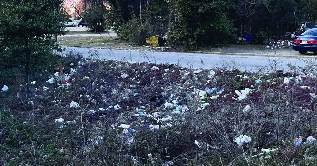 OLIVER’S TWIST ON MACON-BIBB: Make Macon beautiful again