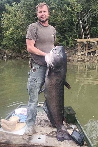 MONROE COUNTY OUTDOORS: Record catfish lurking in local waters