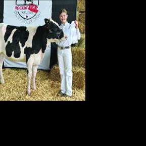 It's hard to make a big cow behave at a show | News | mymcr.net