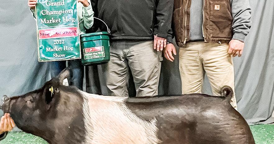 Middle School FFA livestock teams bring home awards for sheep, hogs and ...