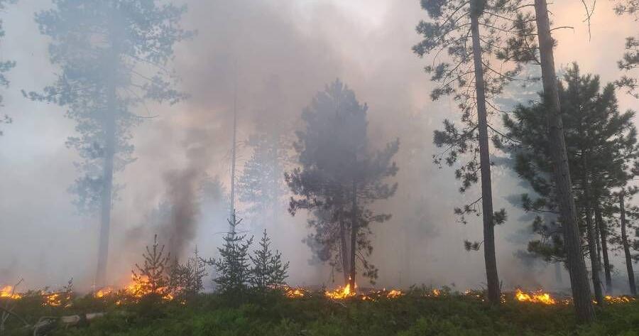 Crews battle Goose Marsh Fire in Whitefish Twp. | Local News | myupnow.com