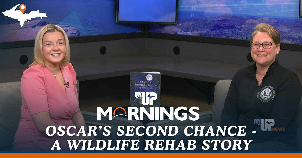 'Oscar's Second Chance' book focuses on education for children about wildlife rehab